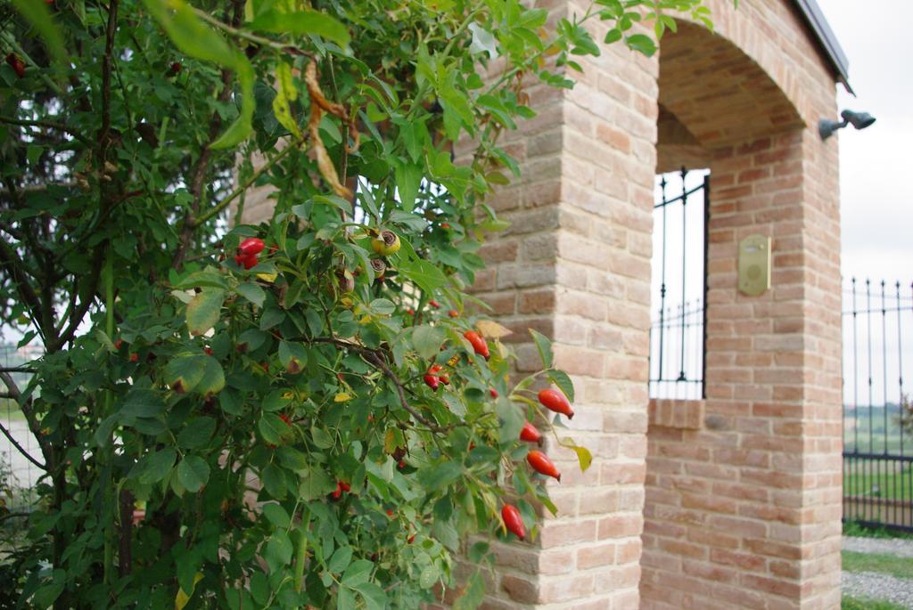 Naturalmente Wine Resort Agliano Terme Buitenkant foto
