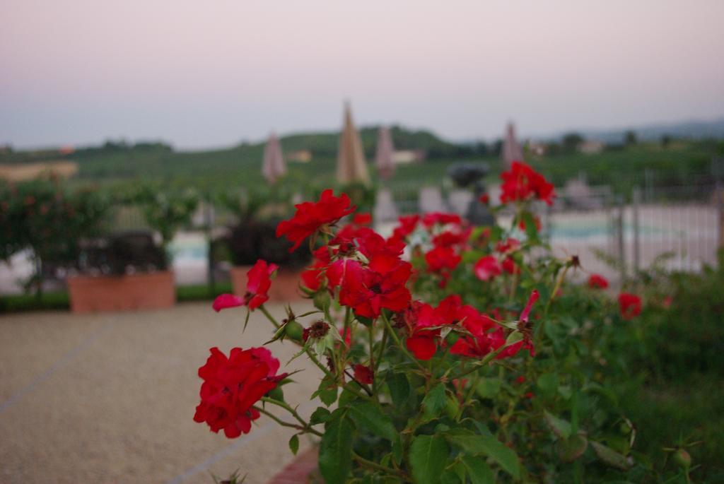Naturalmente Wine Resort Agliano Terme Buitenkant foto