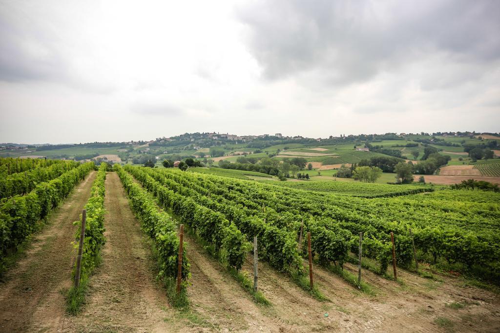 Naturalmente Wine Resort Agliano Terme Buitenkant foto